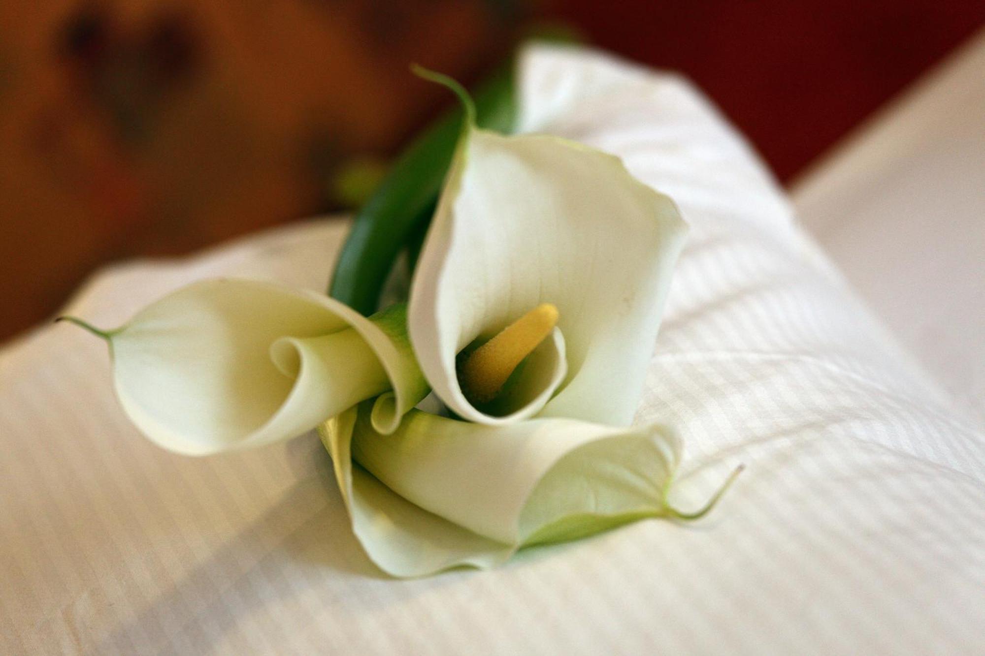 Wellness Hotel Zlata Lipa Decin Chambre photo